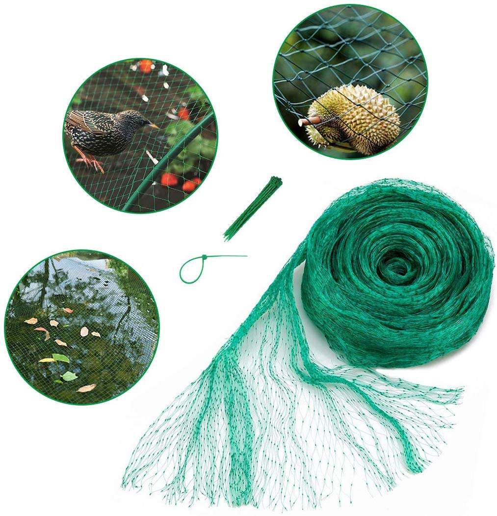 Learn more about the use of anti bird nets Learn more about the use of anti bird nets