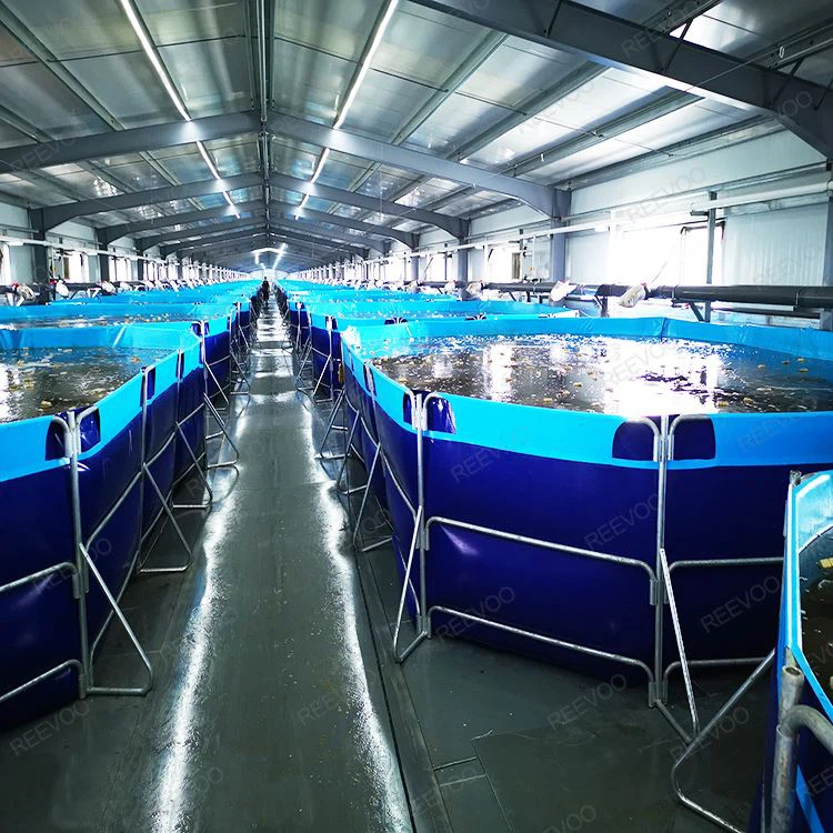 FISH FARMING