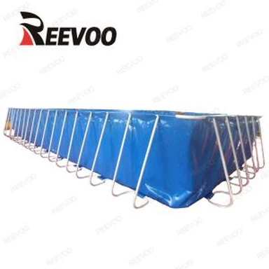 Fish Canvas Pool
