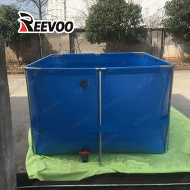 Blue Fish Farm Tank Square