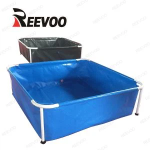 Large Plastic Fish Tank