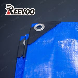 PE Plastic Cover Tarp