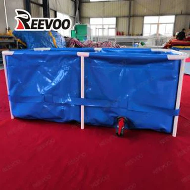 Rectangualr Fish Fish Tank