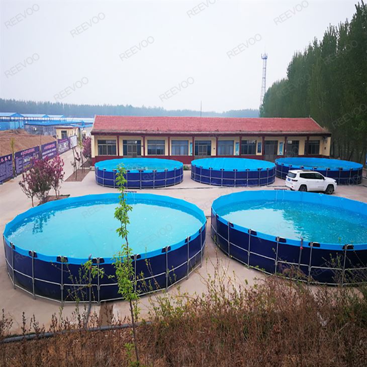 Canvas Plastic Fish Farm Tank