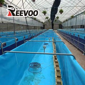 Tarpaulin Aquaculture Fish Tanks