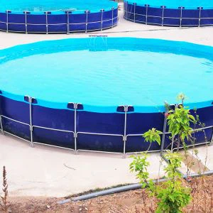 Indoor Outdoor Fish Pond Pools