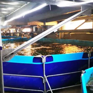 Indoor Outdoor Fish Tank Plastic