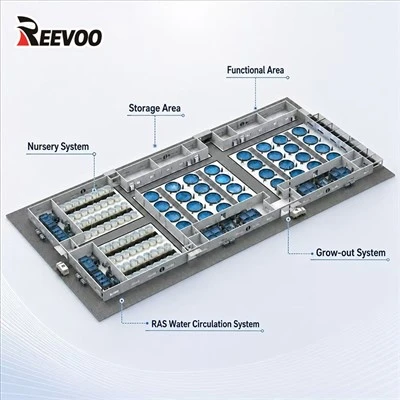 Recirculating Aquaculture System